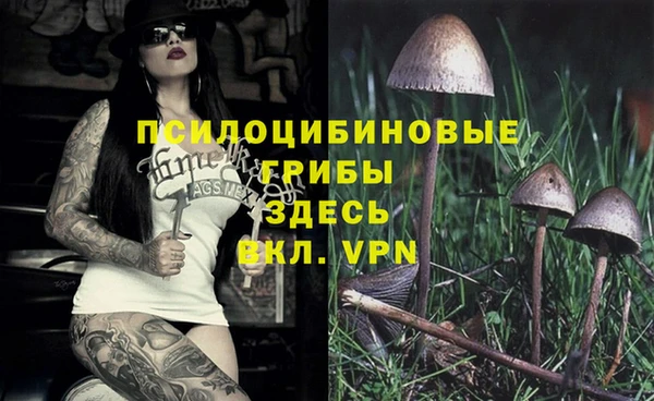 не бодяженный Касимов