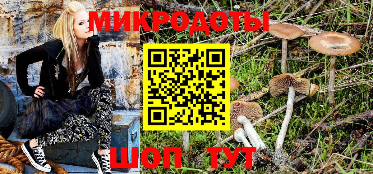 Псилоцибиновые грибы GOLDEN TEACHER Альметьевск
