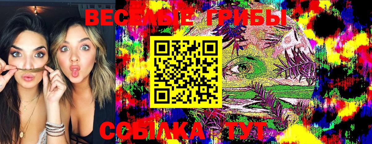 Галлюциногенные грибы Psilocybine cubensis Альметьевск