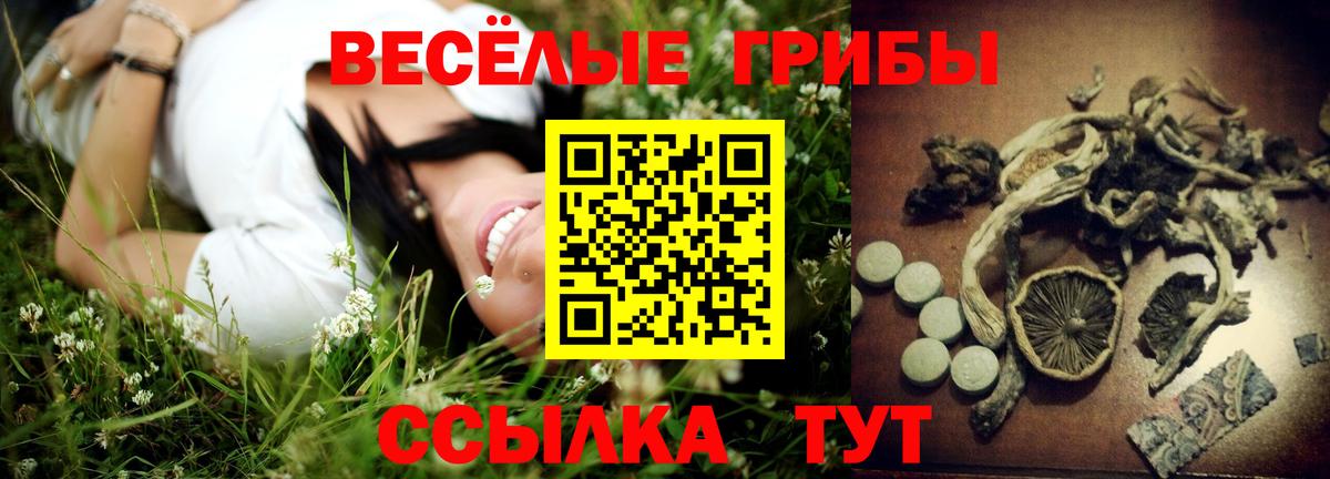 Галлюциногенные грибы MAGIC MUSHROOMS  Вход с VPN  Альметьевск 